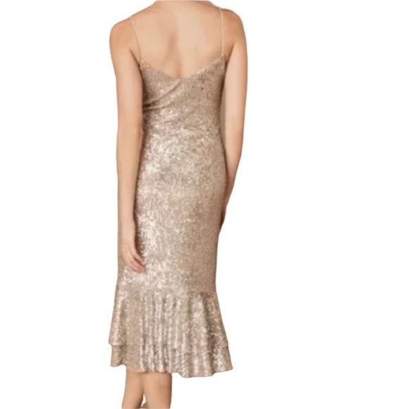 BHLDN Sachin & Babi Sequin Odelle Midi Dress in Silver & Gold Size 4 NWT - Picture 4 of 12